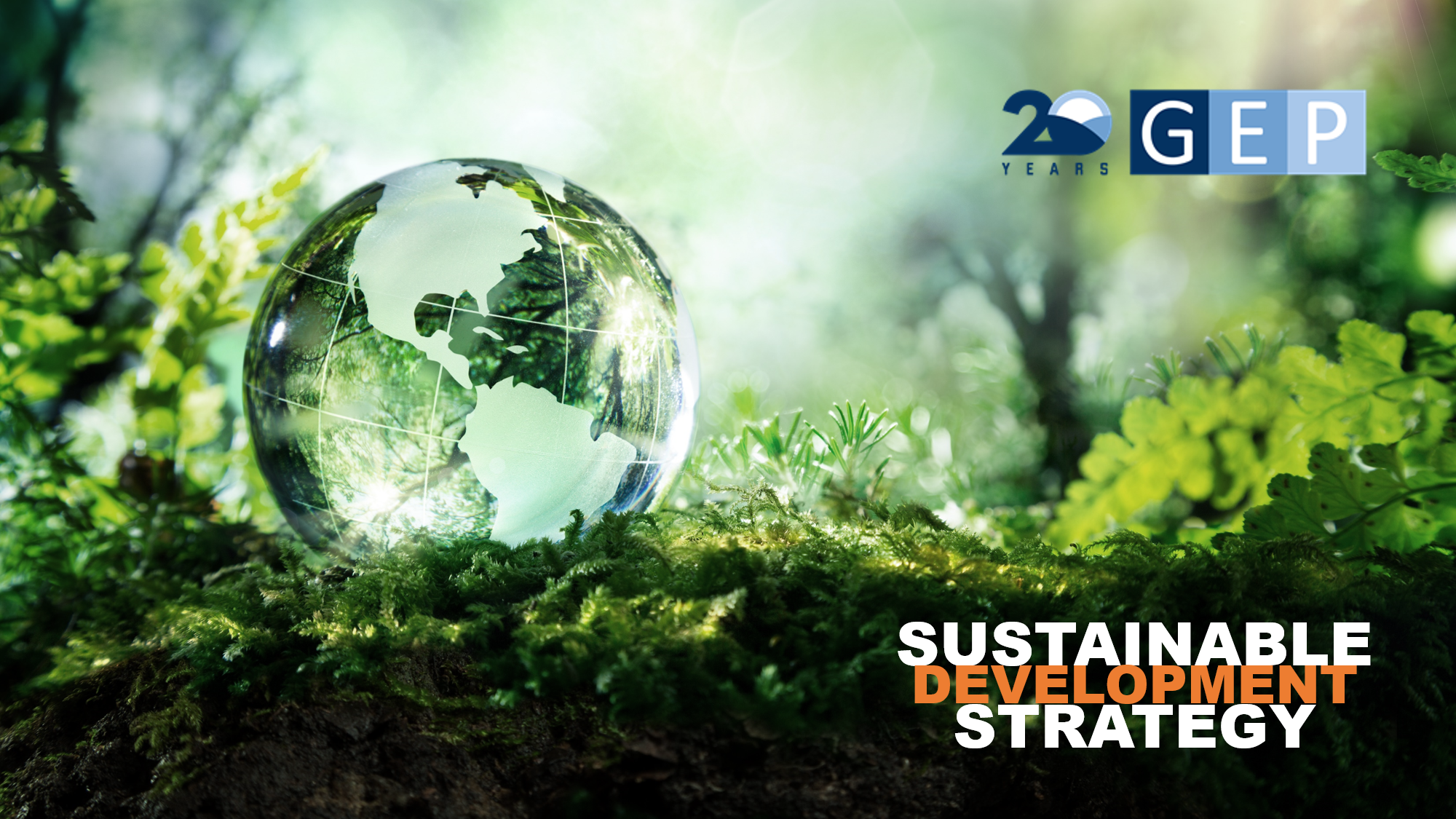 sustainability development strategy
